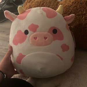 evangelica 12’ squishmellow